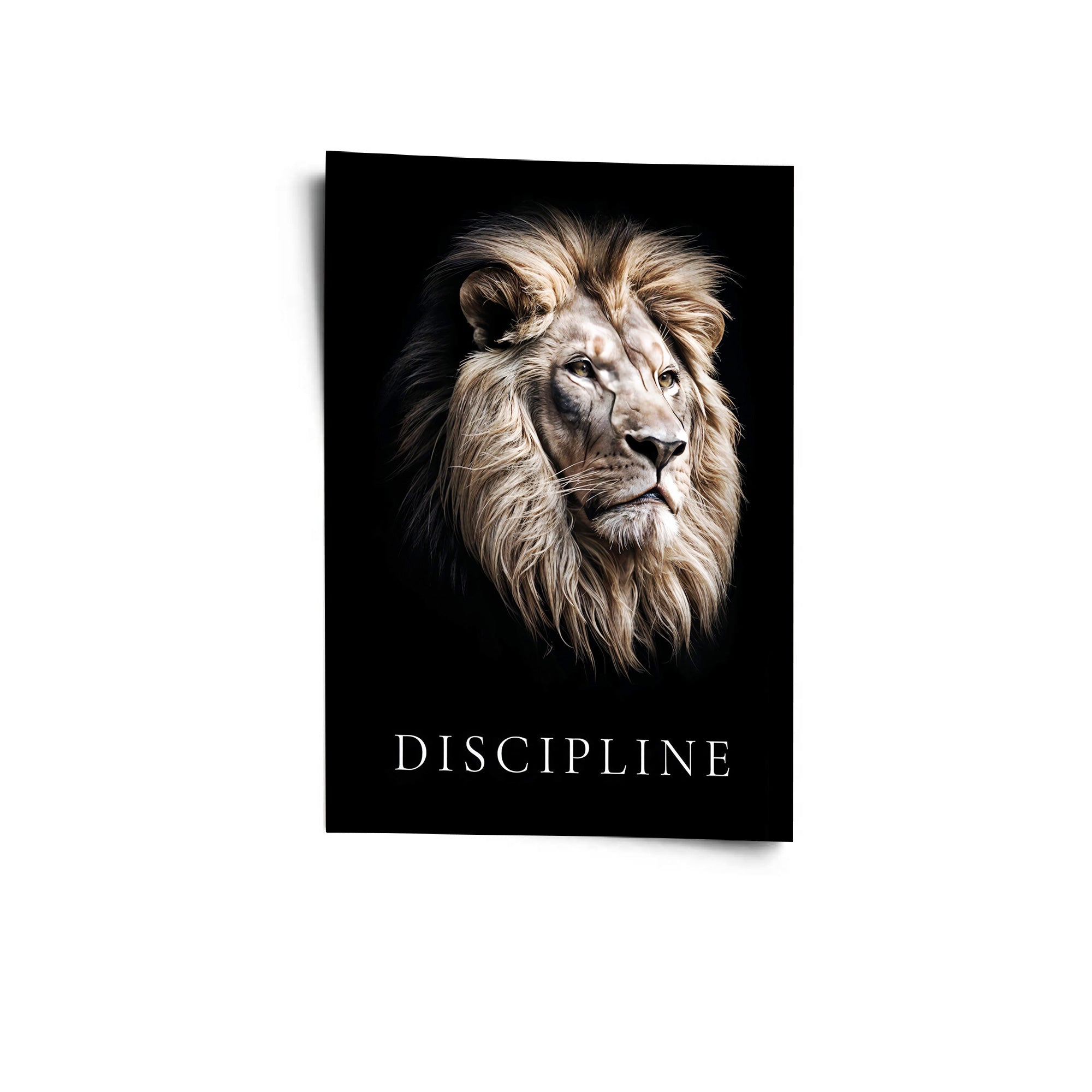 Discipline