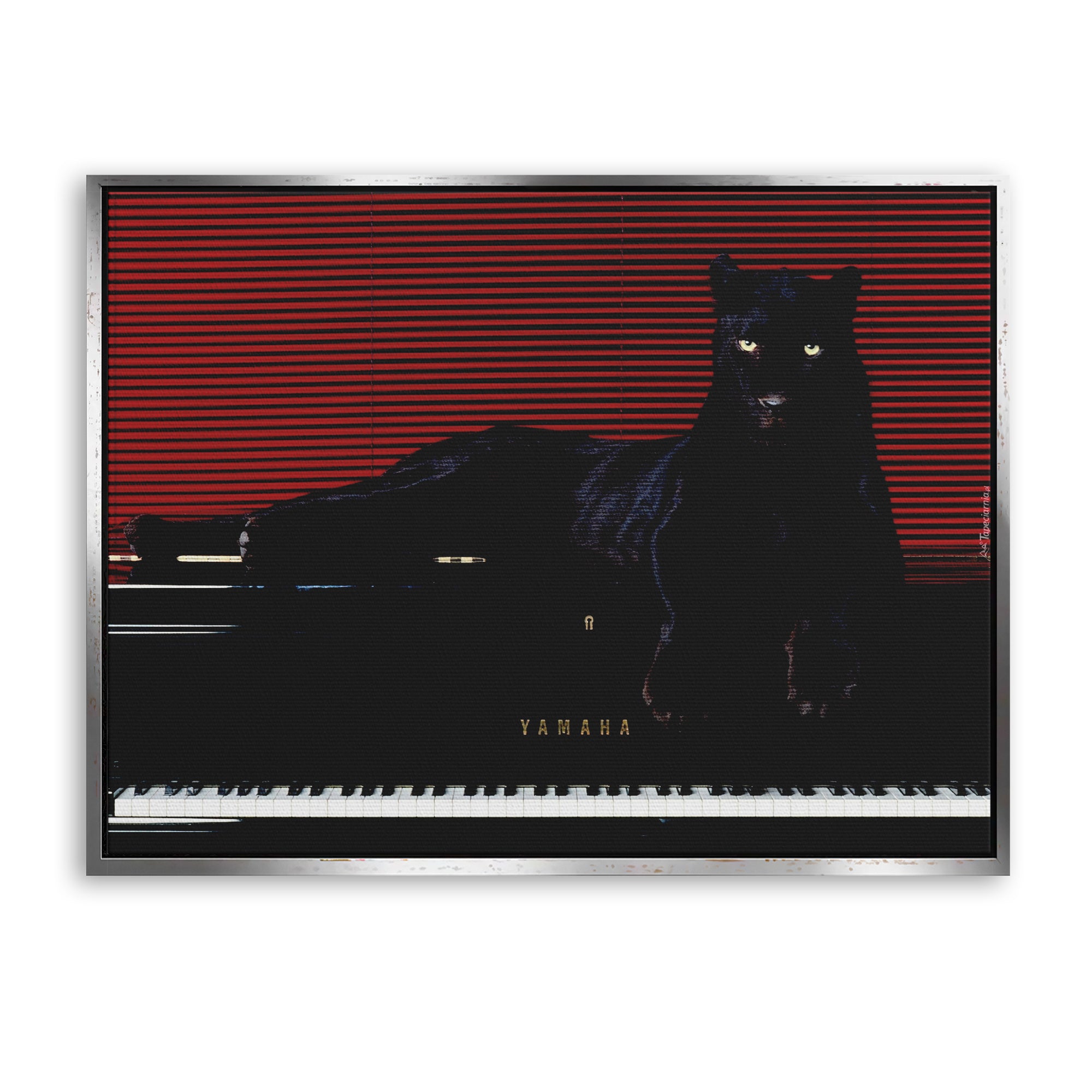 Predator’s Melody