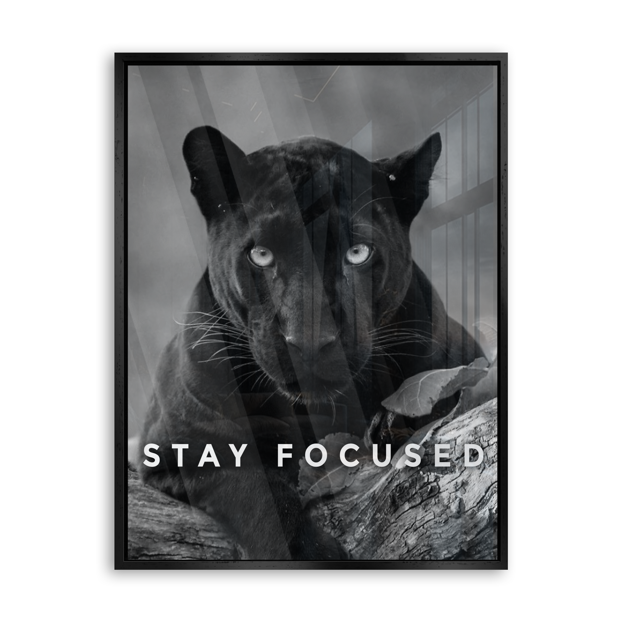 Stay Focused