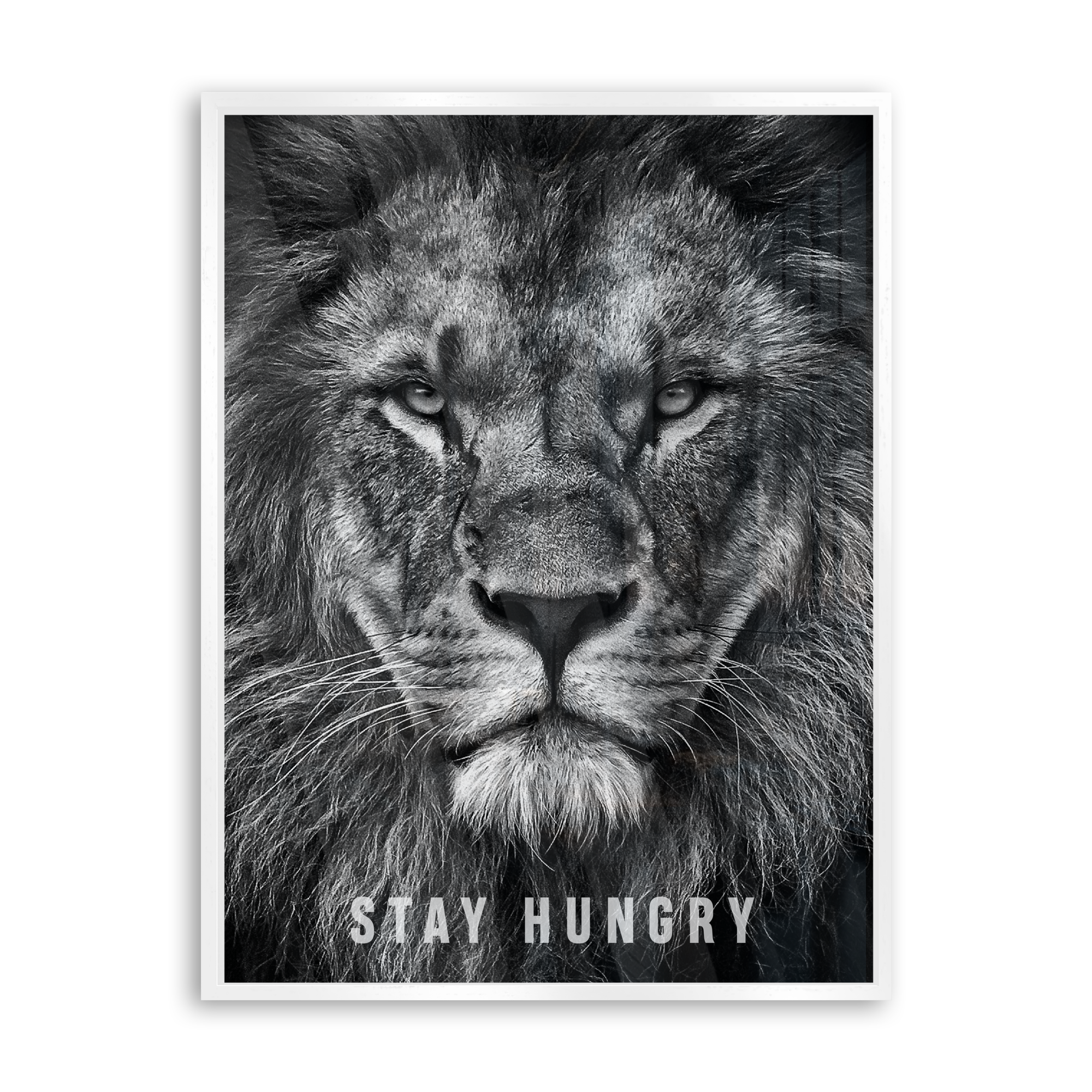 Stay Hungry