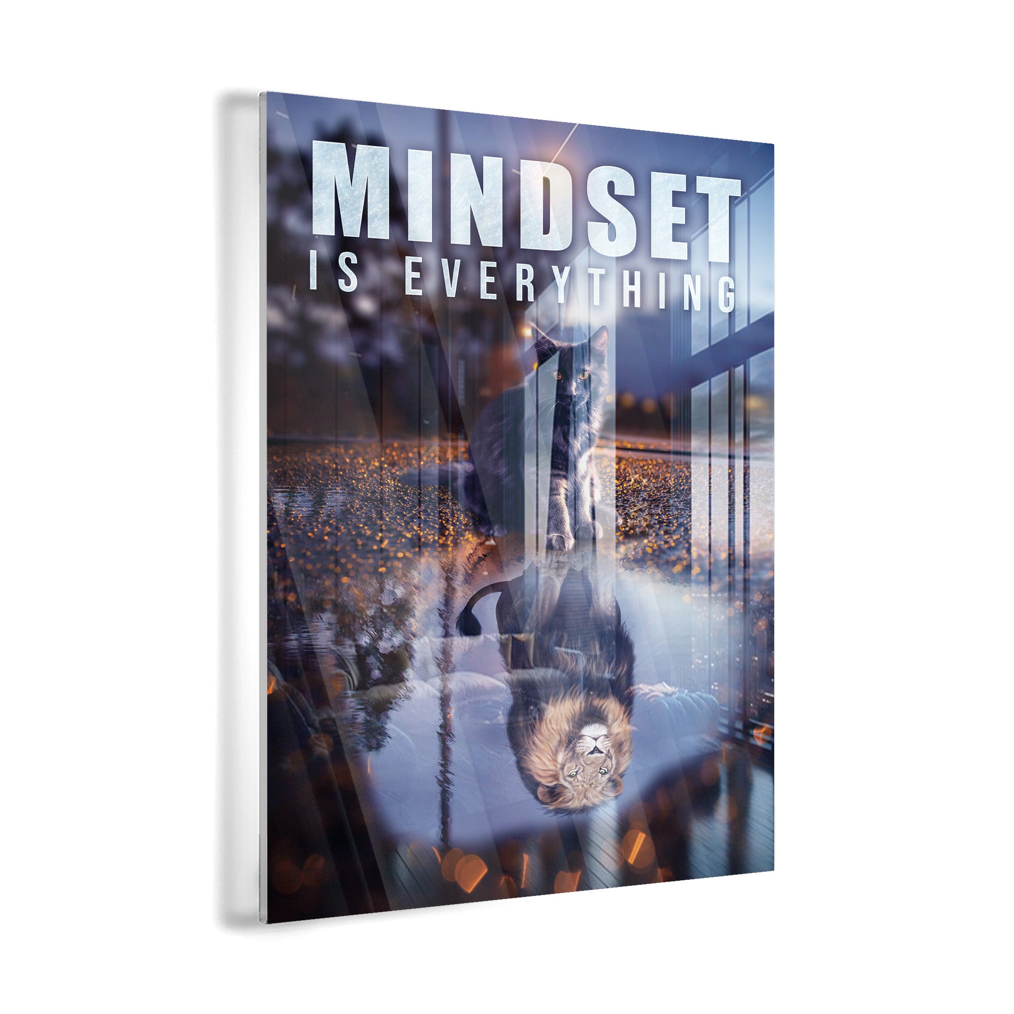 Mindset Is Everything 