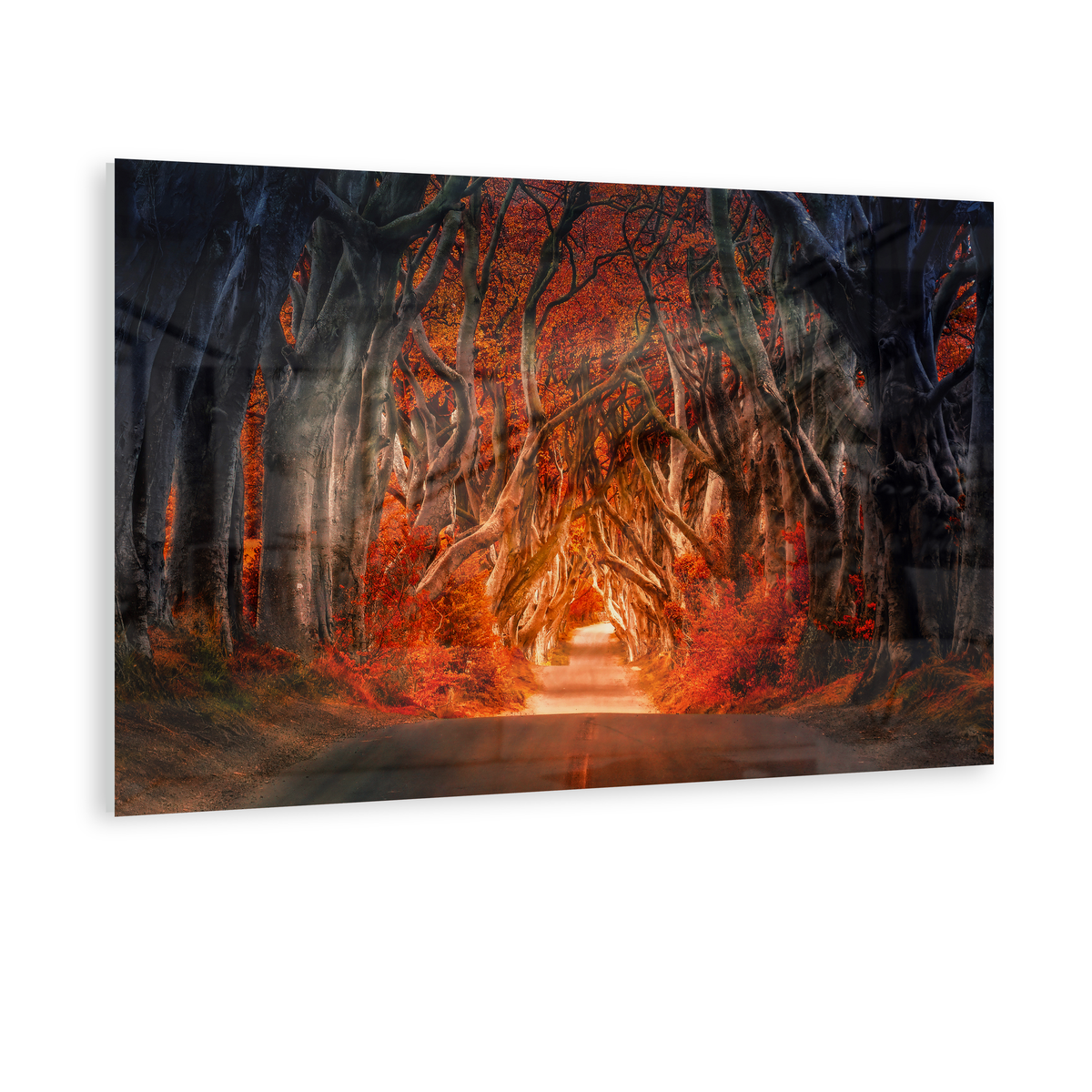 Autumn Passage - Acrylglas Ohne Rahmen