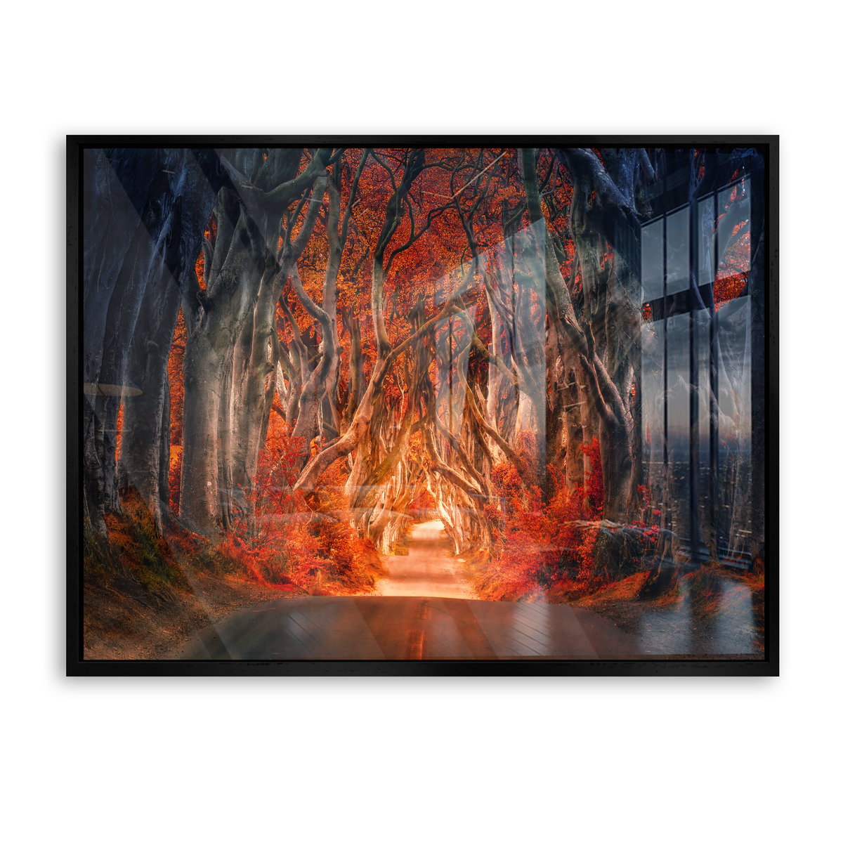 Autumn Passage - Acrylglas Schwarz