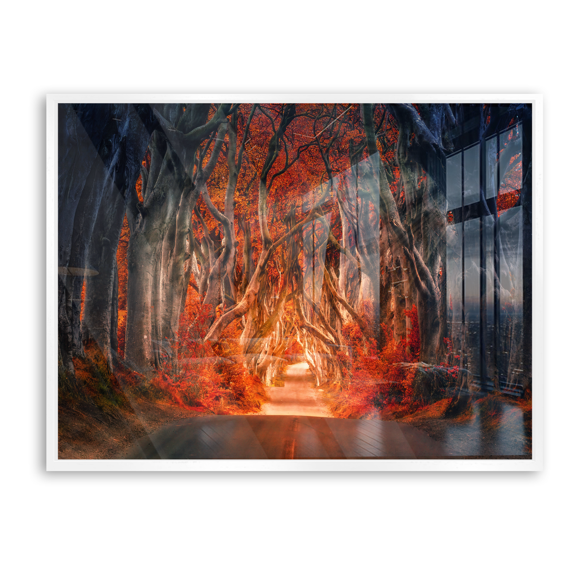 Autumn Passage - Acrylglas Weiß