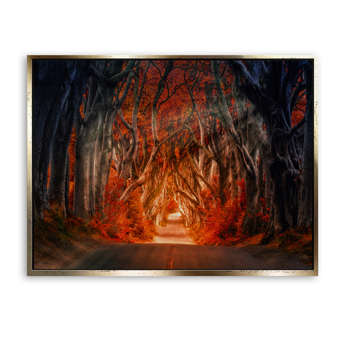 Autumn Passage - Leinwand Gold