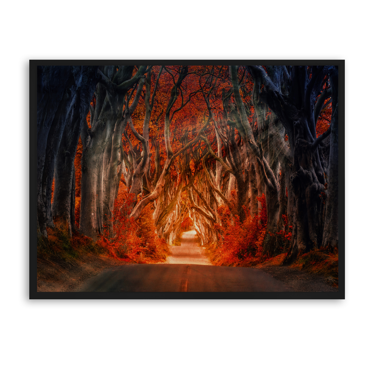 Autumn Passage - Leinwand Schwarz