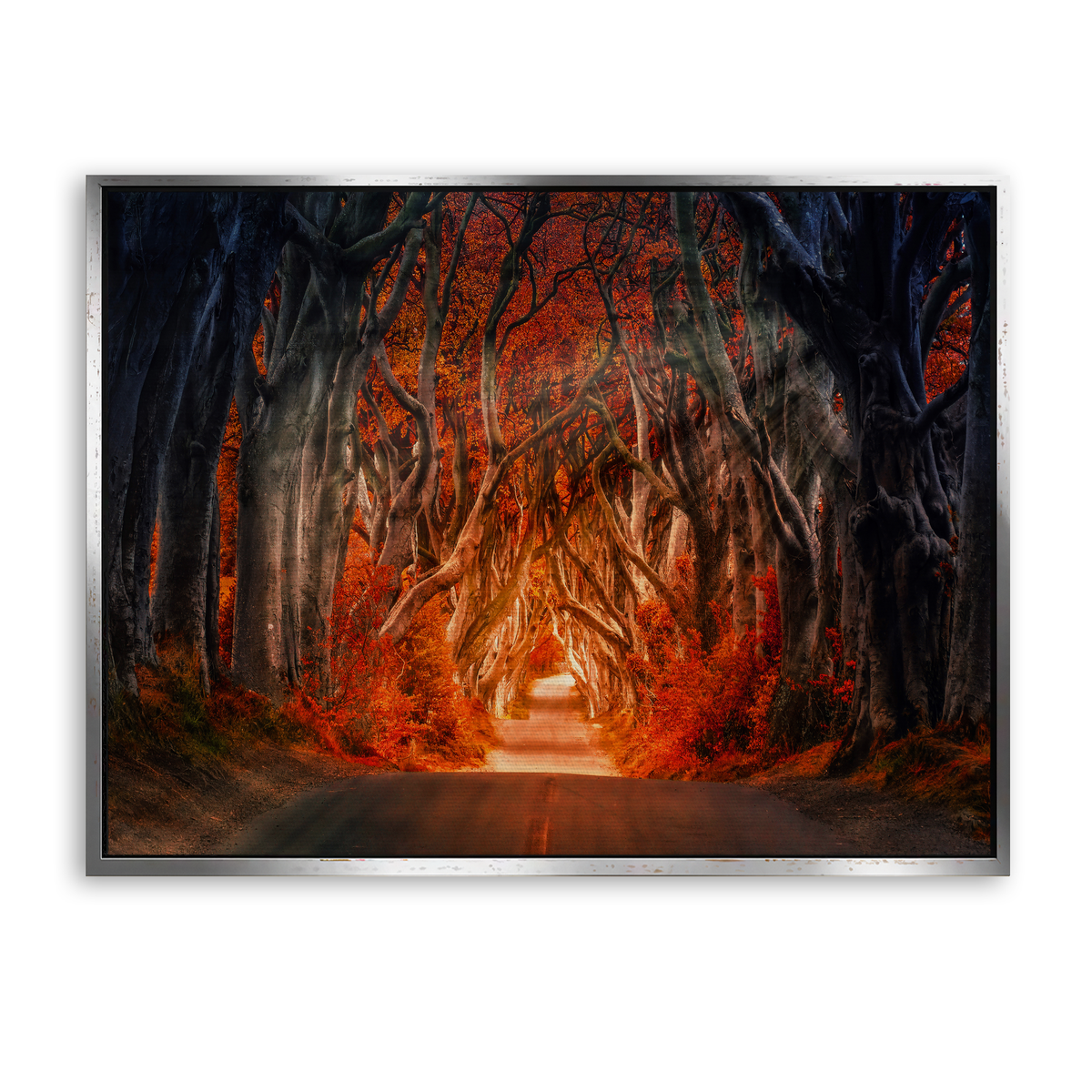 Autumn Passage - Leinwand Silber