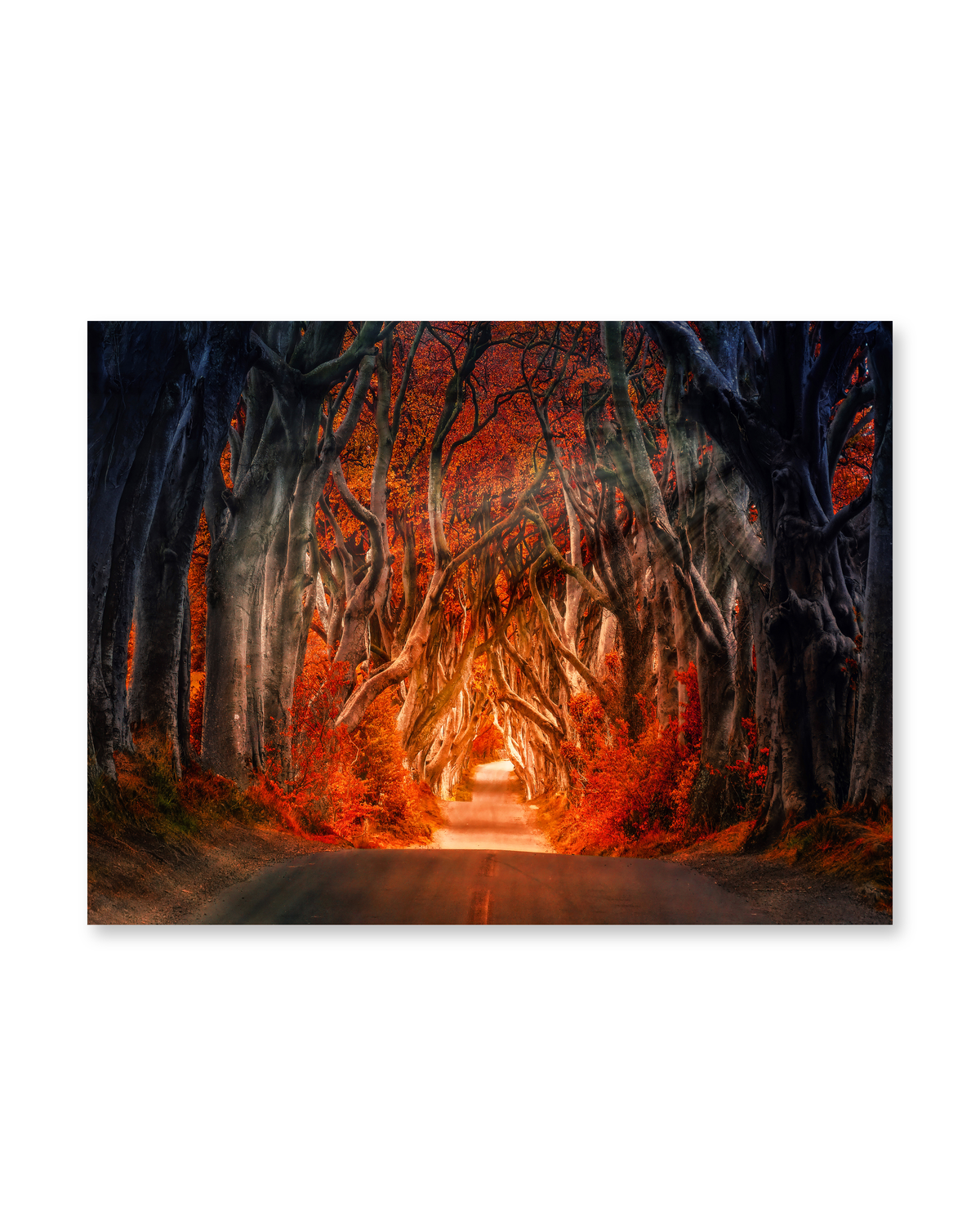 Autumn Passage - Poster