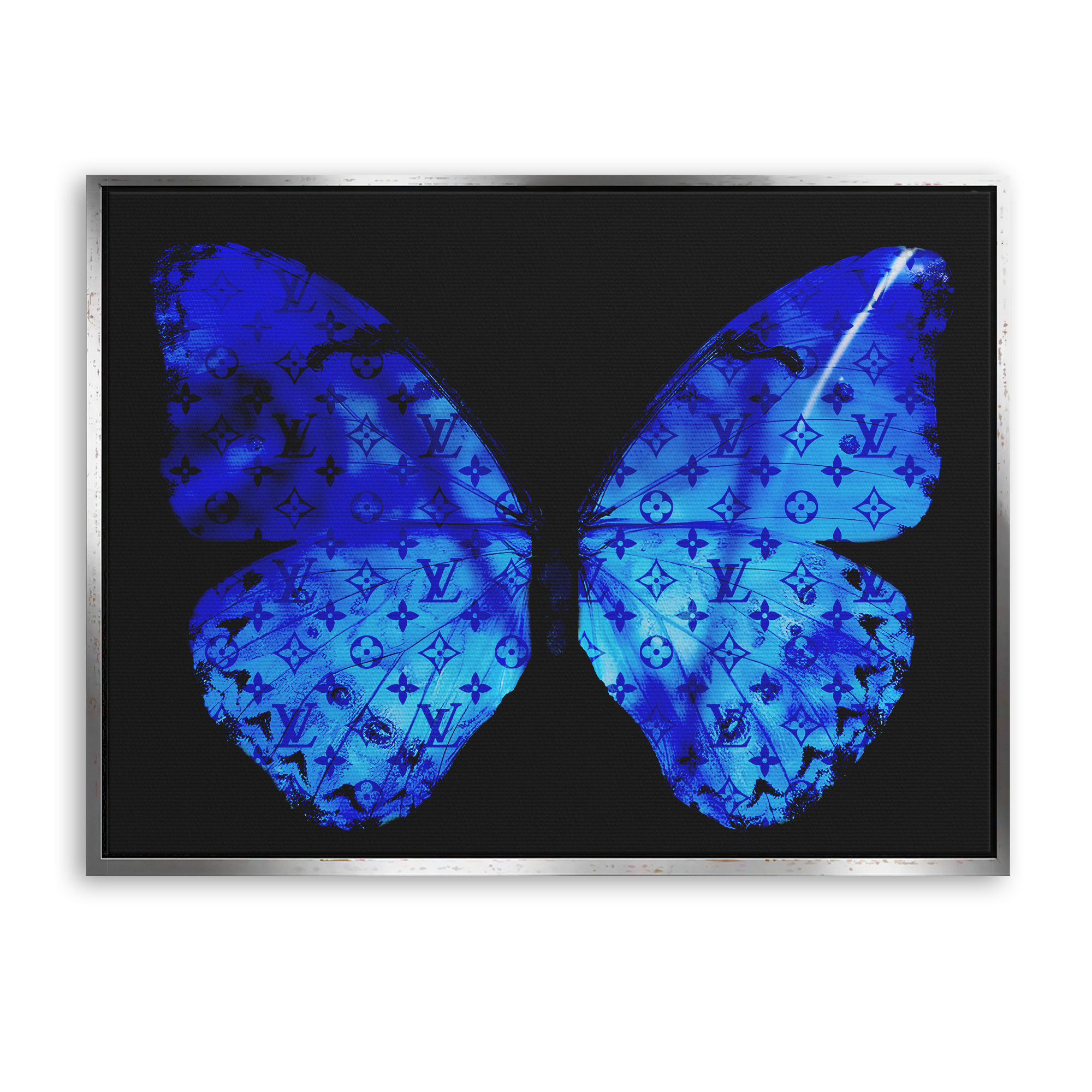 Blue Butterfly