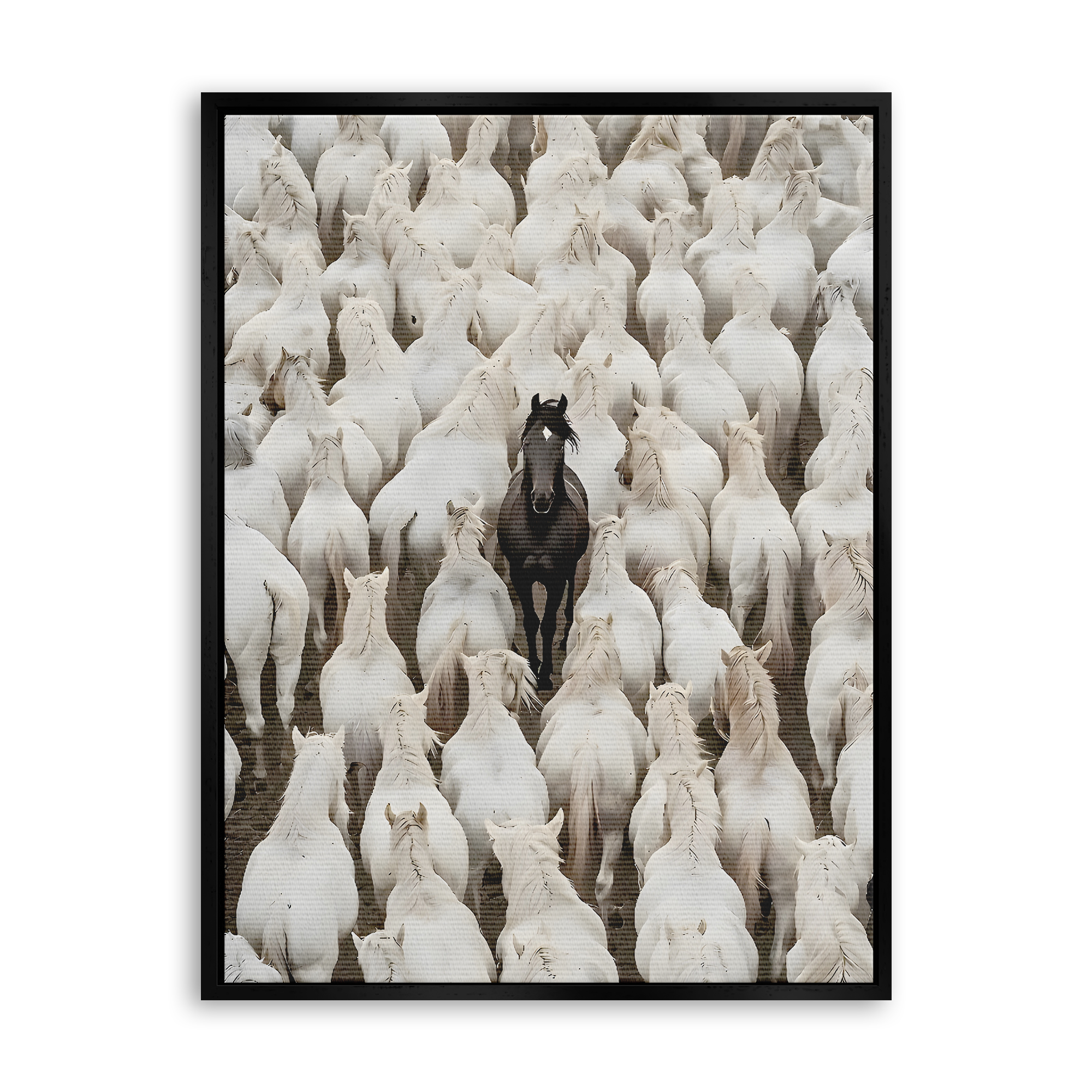 Dare to Be Different