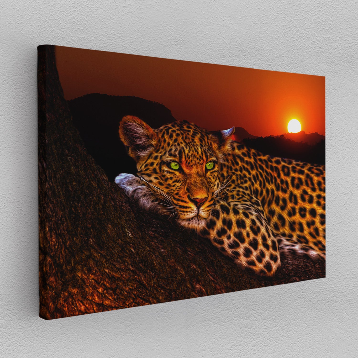 Tiger - Canvas/Acrylic Glass 