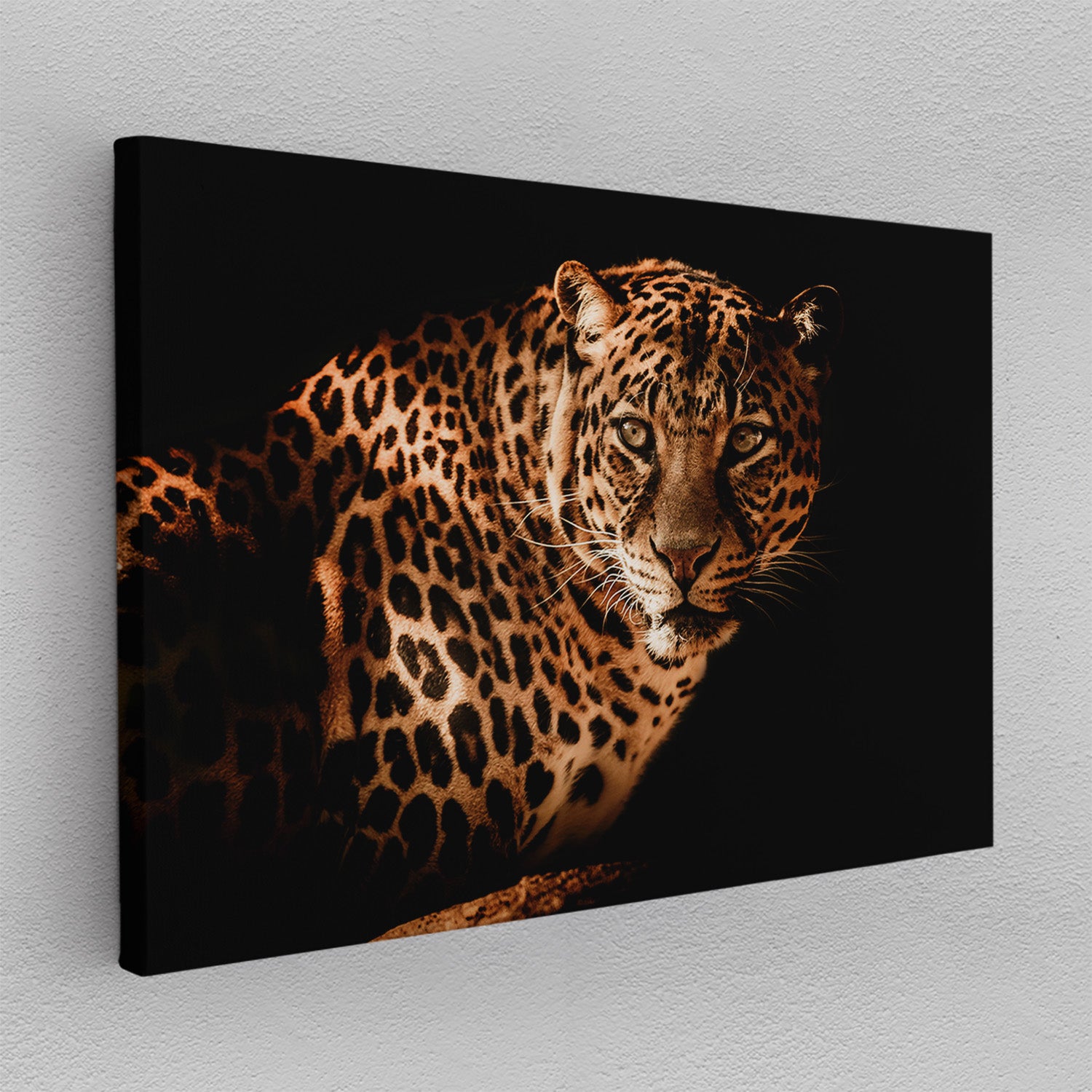 Tiger with black 