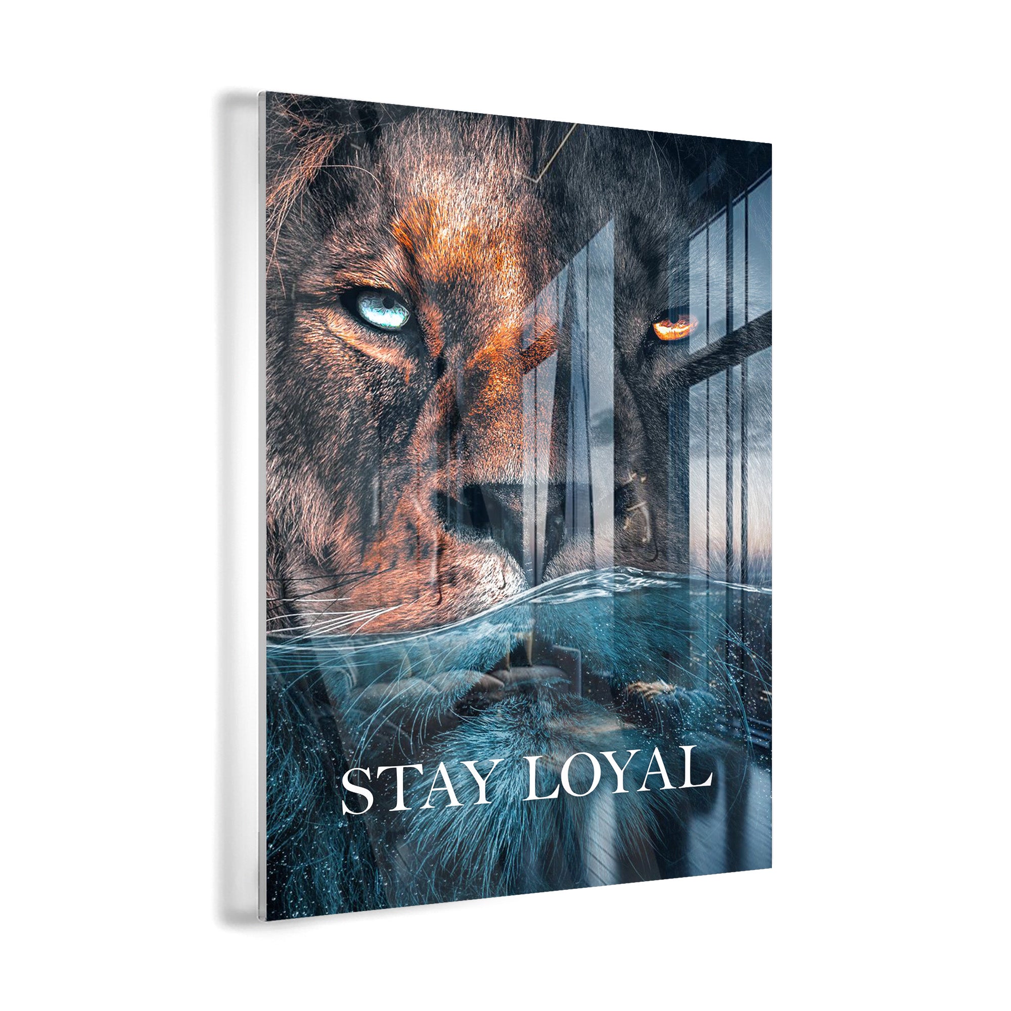 Stay Loyal 