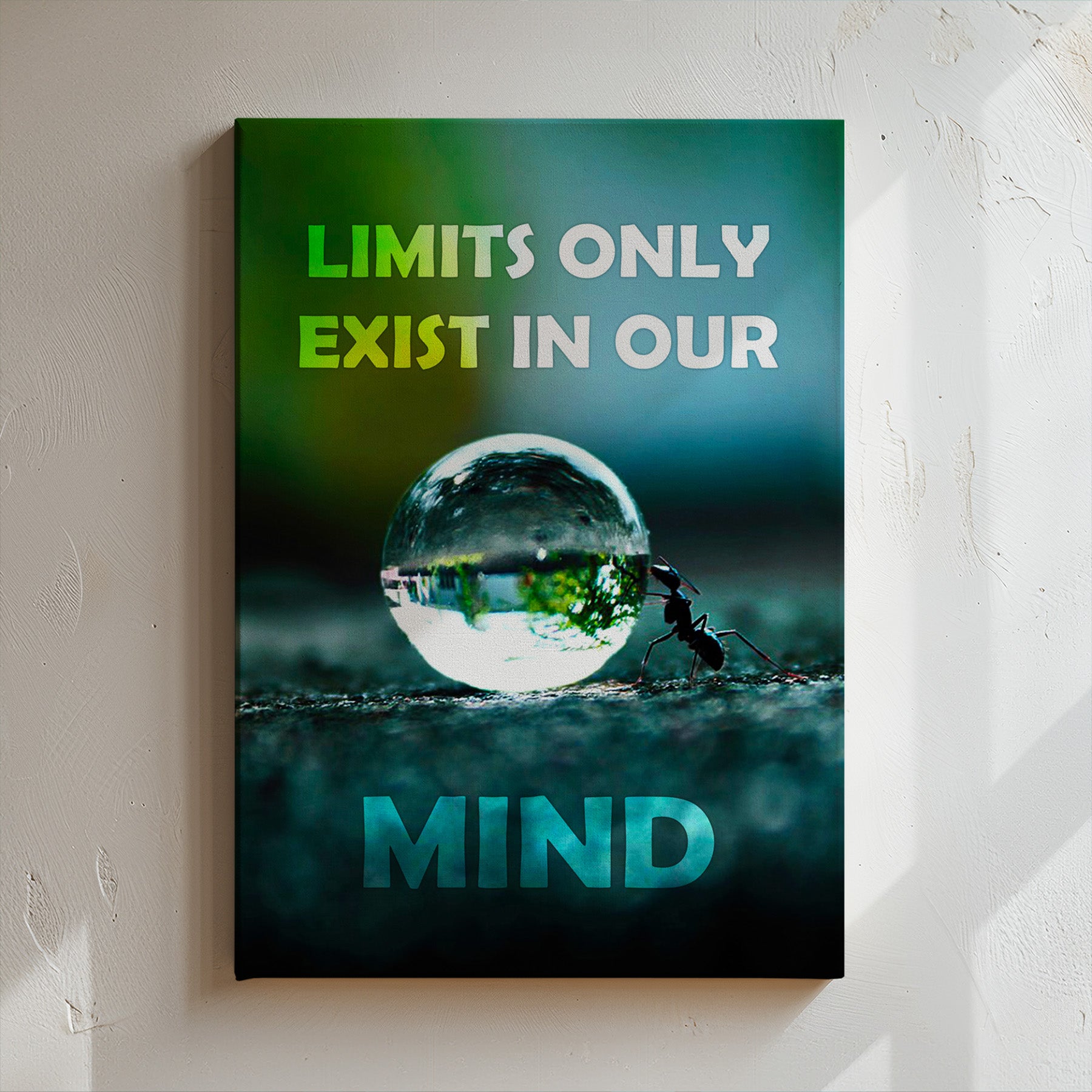 Limit Only Exists in Our Mind 