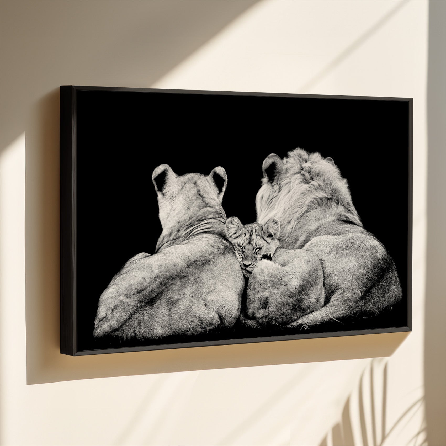 Lion Family Lying
