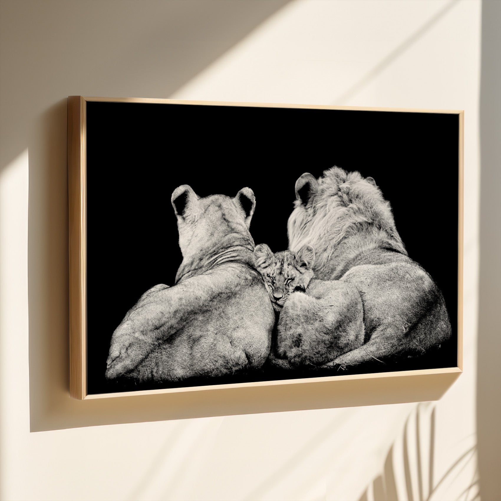 Lion Family Lying