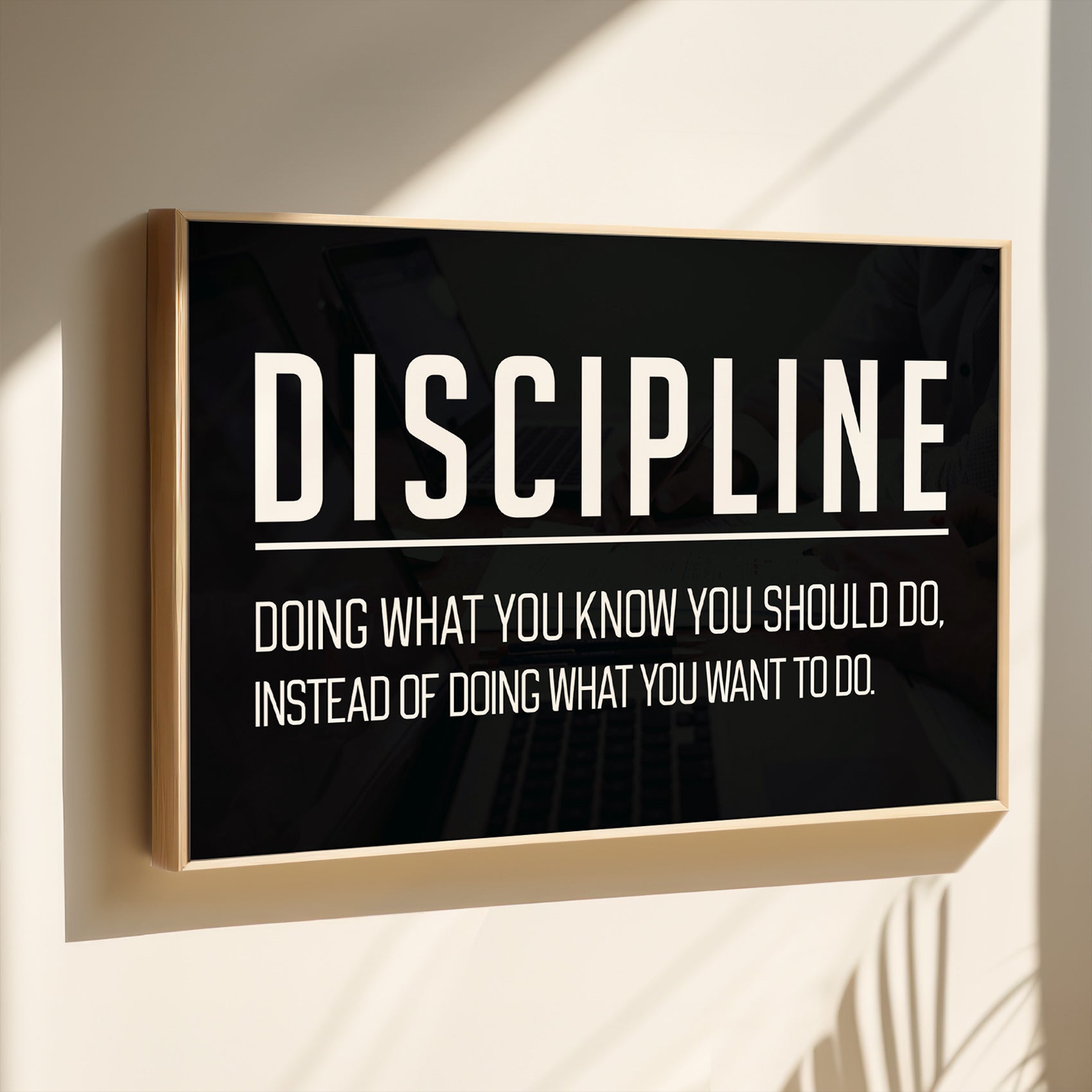 Discipline 