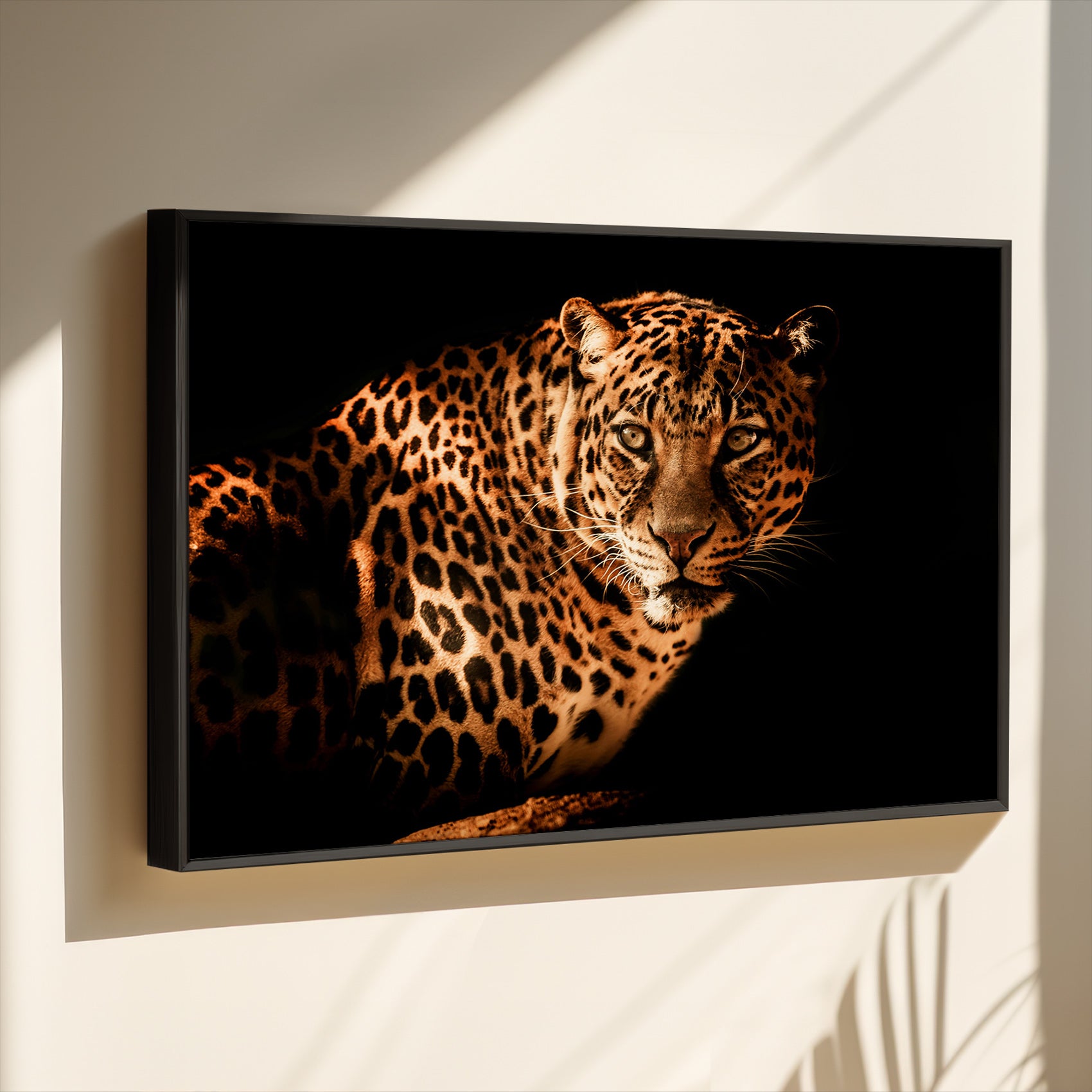 Tiger with black 