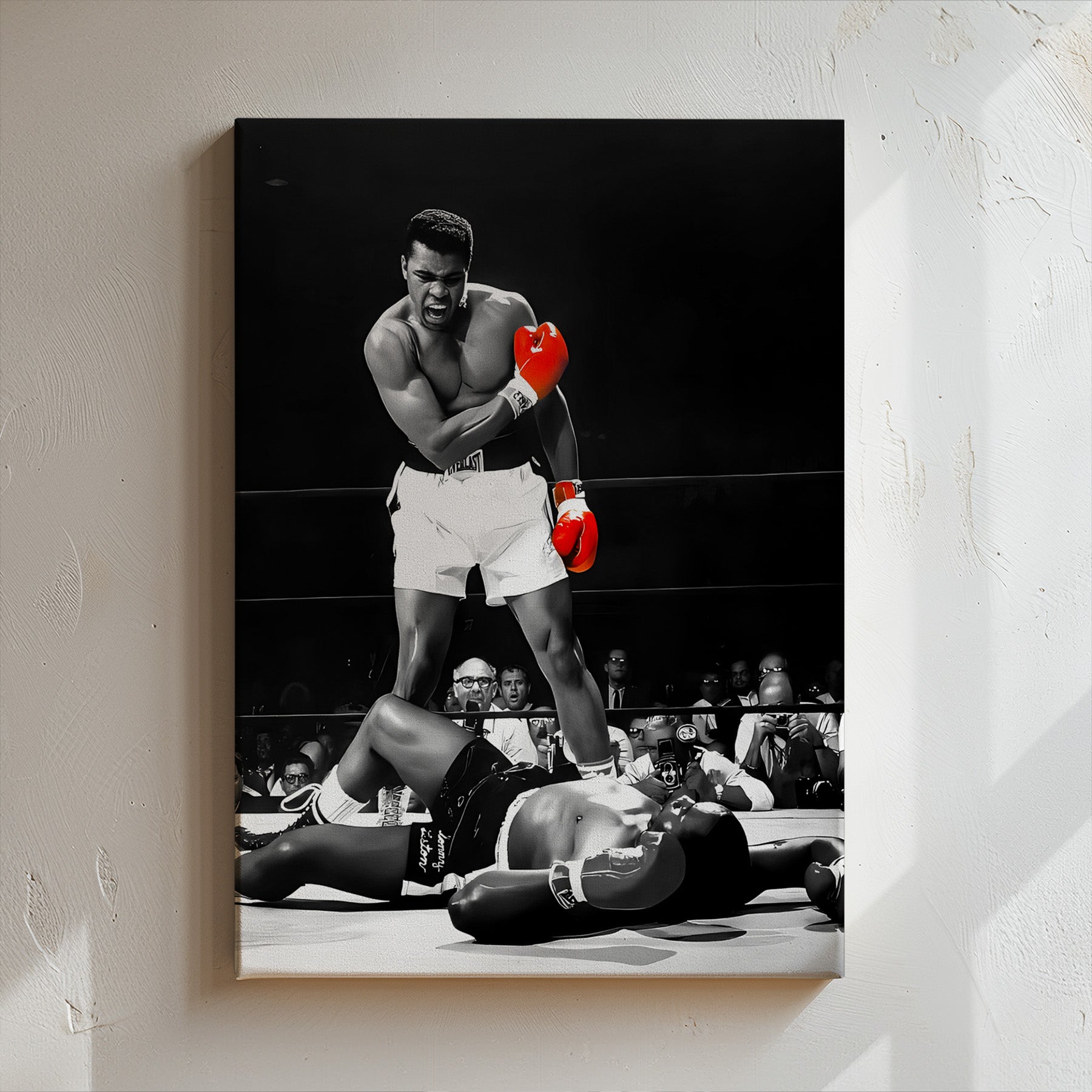 Boxing knockout 