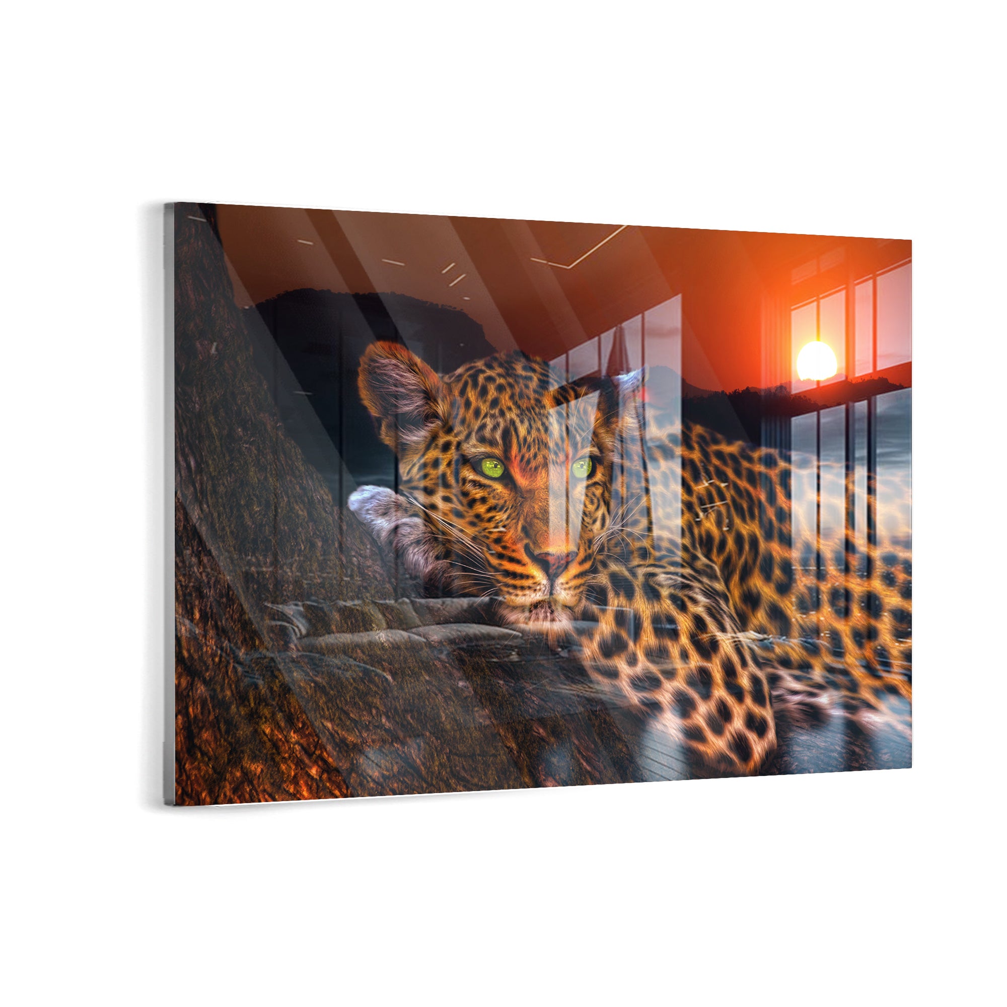 Tiger - Canvas/Acrylic Glass 