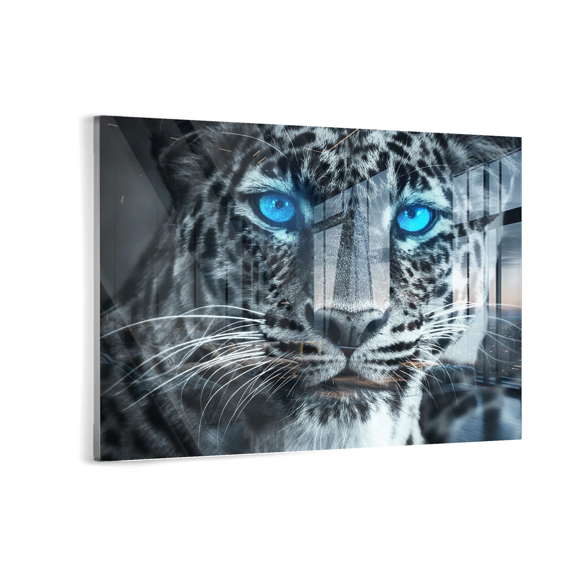 leopard 
