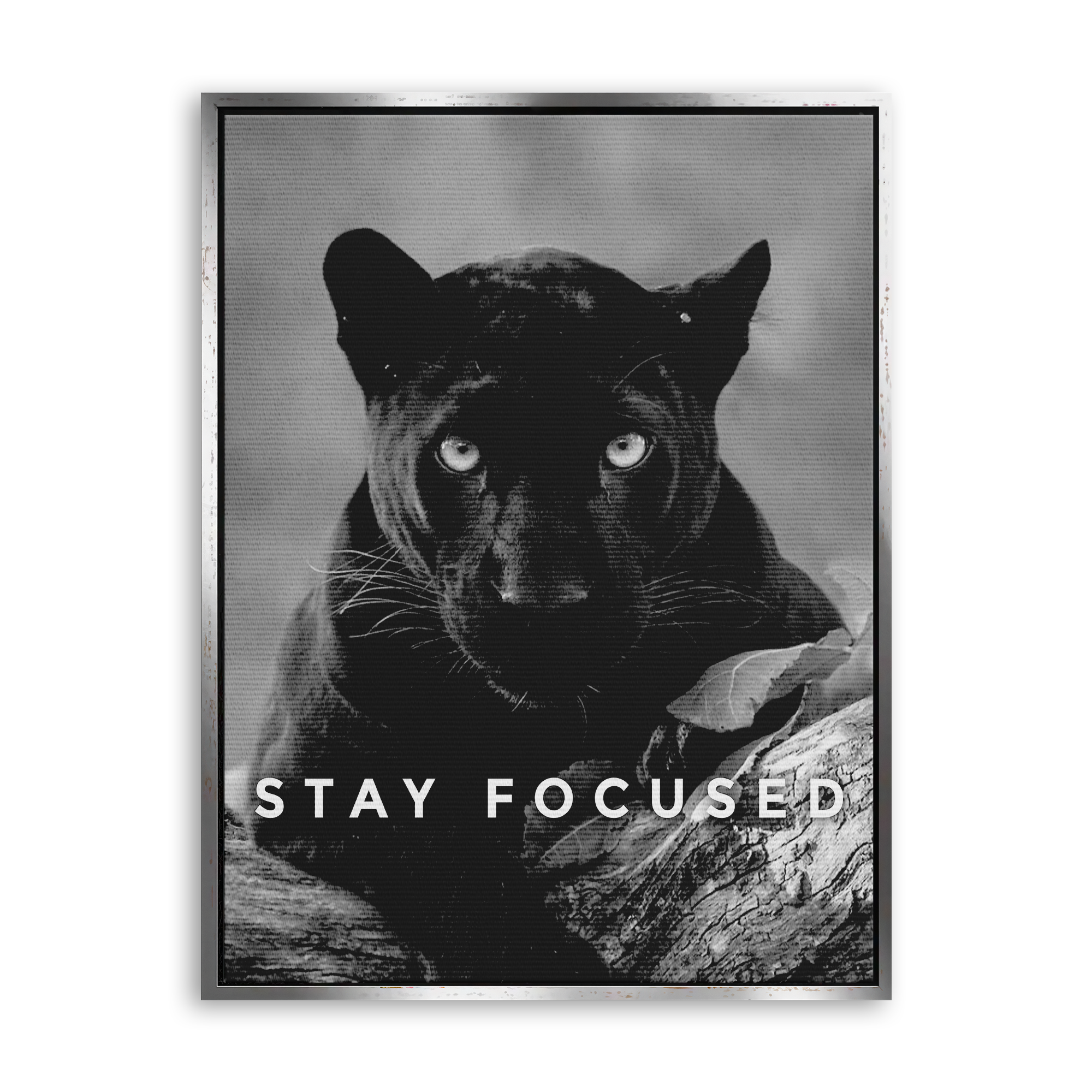 Stay Focused