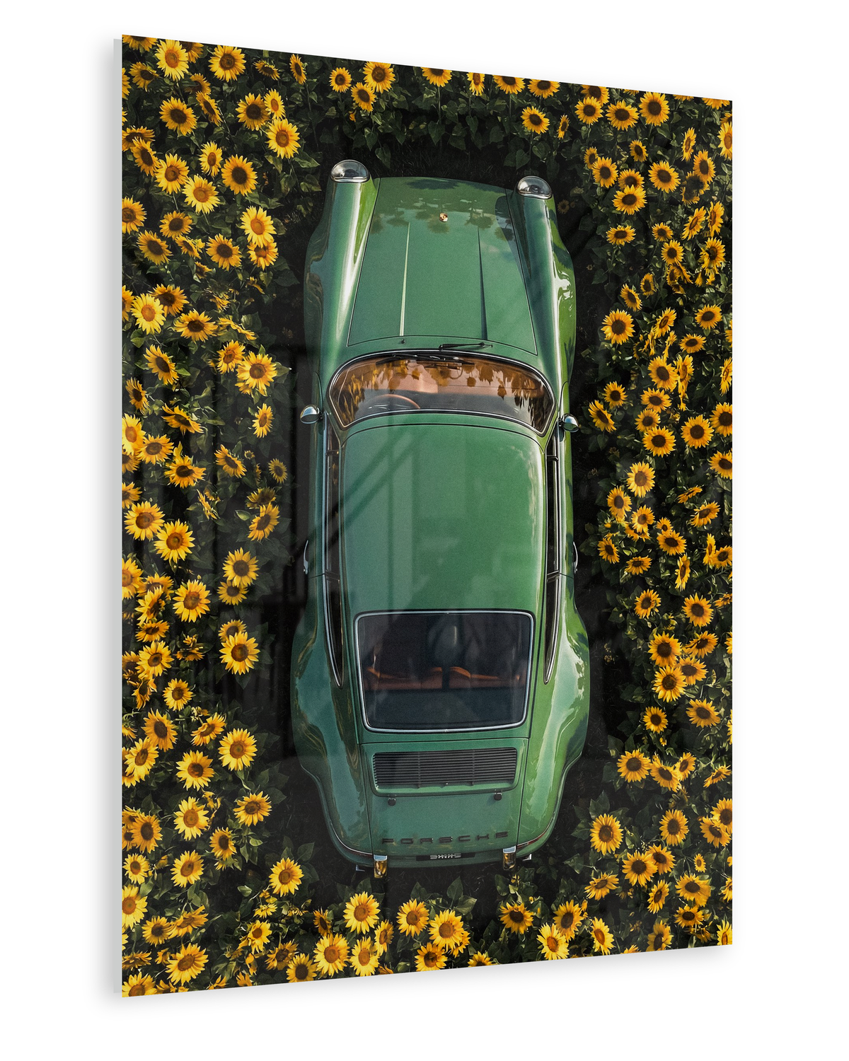 Sunflower Drive - Acrylglas Ohne Rahmen