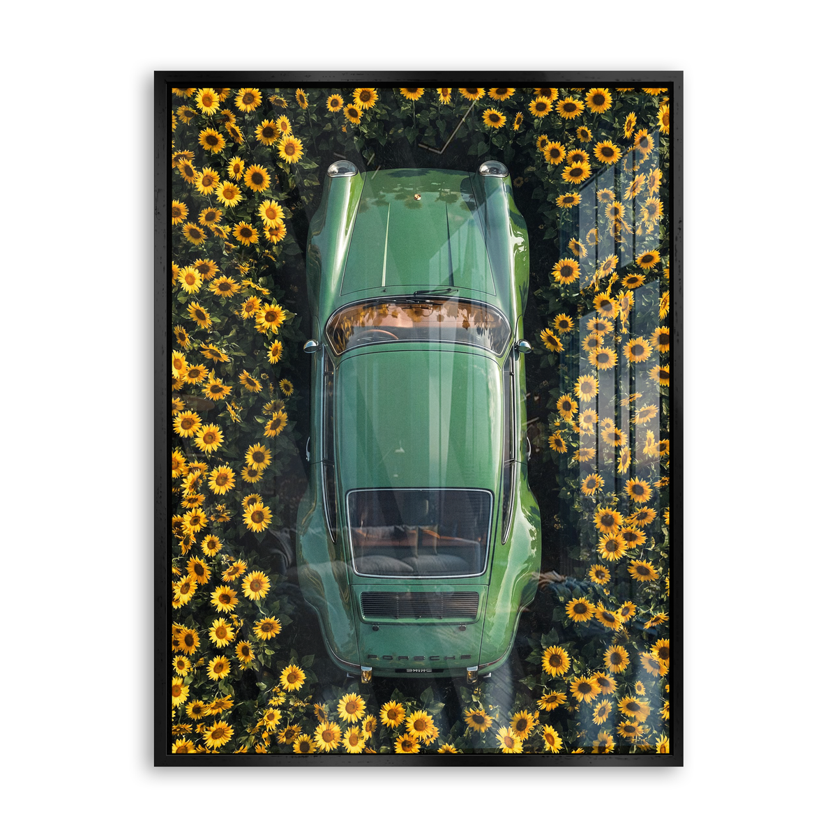 Sunflower Drive - Acrylglas Schwarz