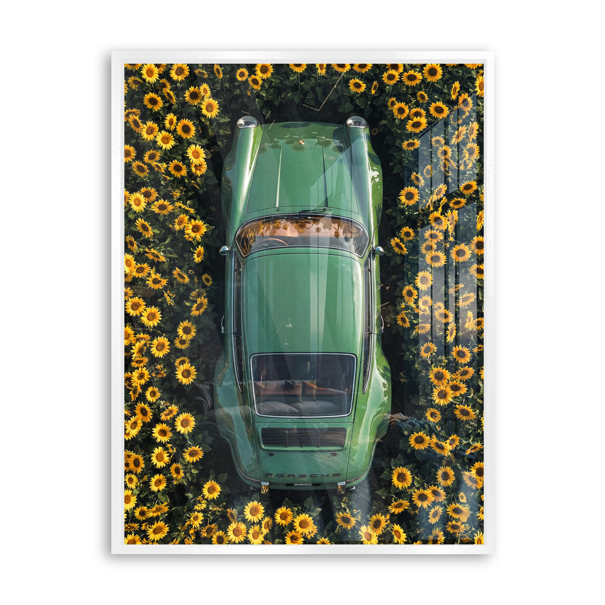 Sunflower Drive - Acrylglas Weiß