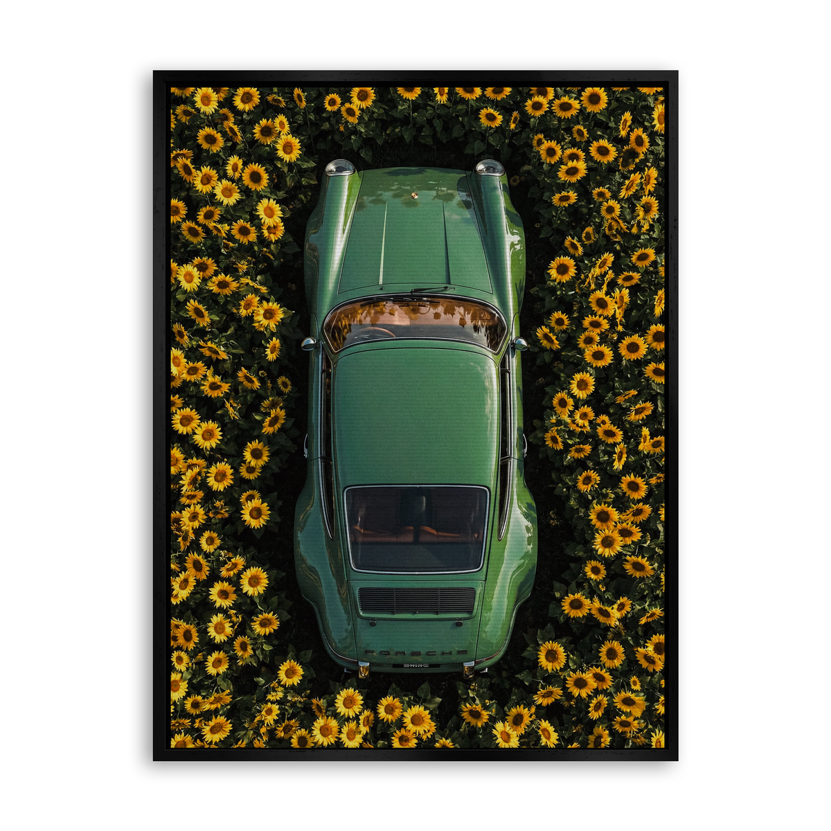 Sunflower Drive - Leinwand Schwarz