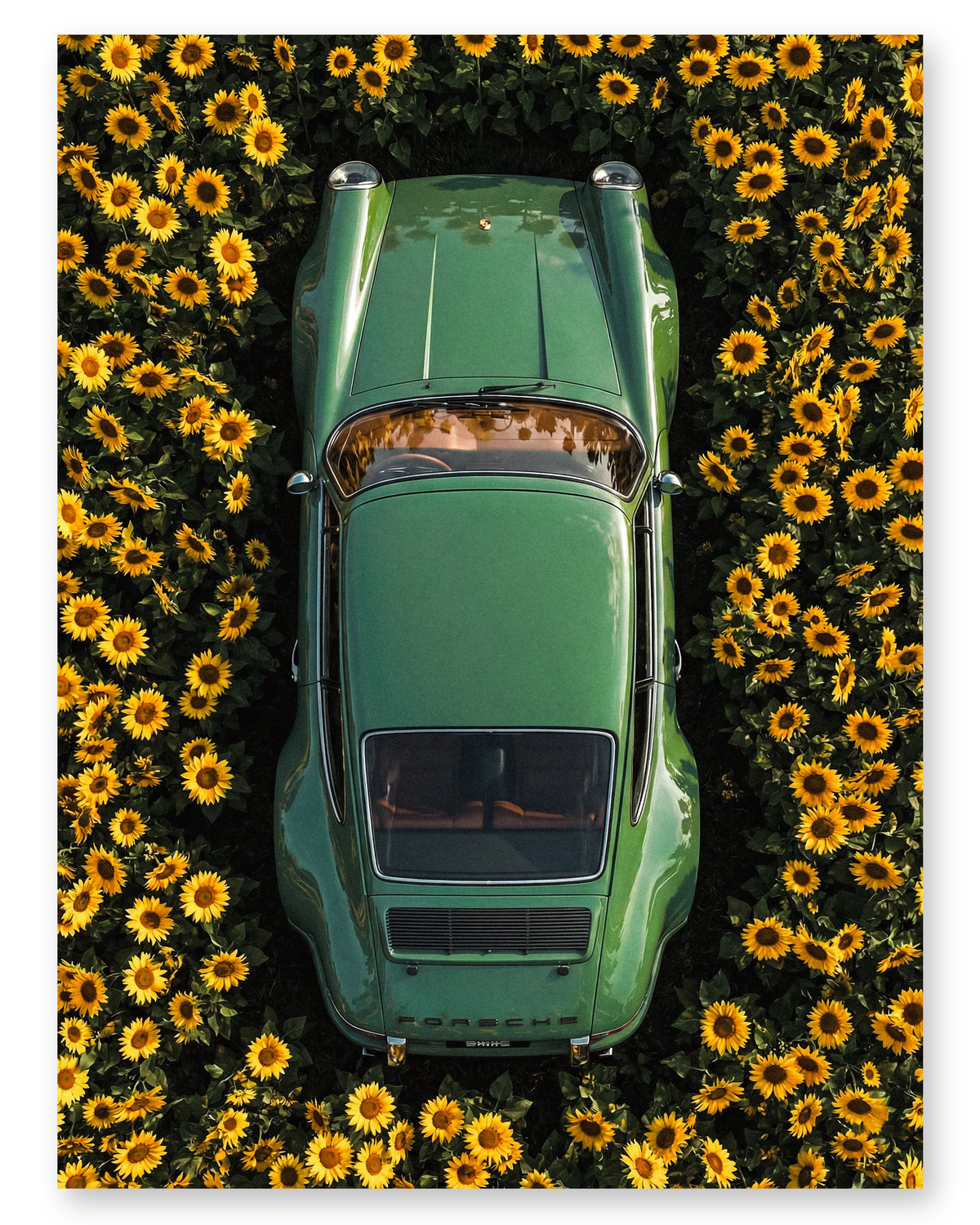 Sunflower Drive - Poster