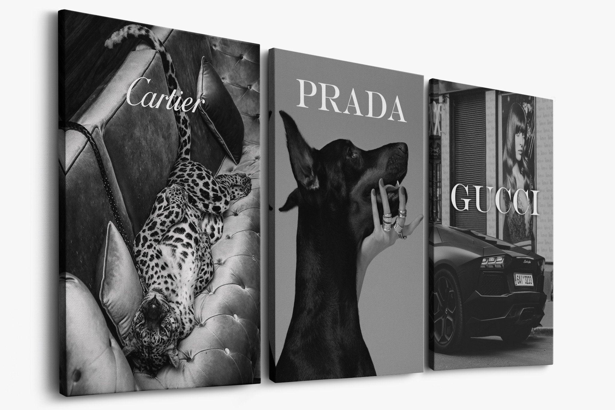 Luxury Inspiration - Bundle