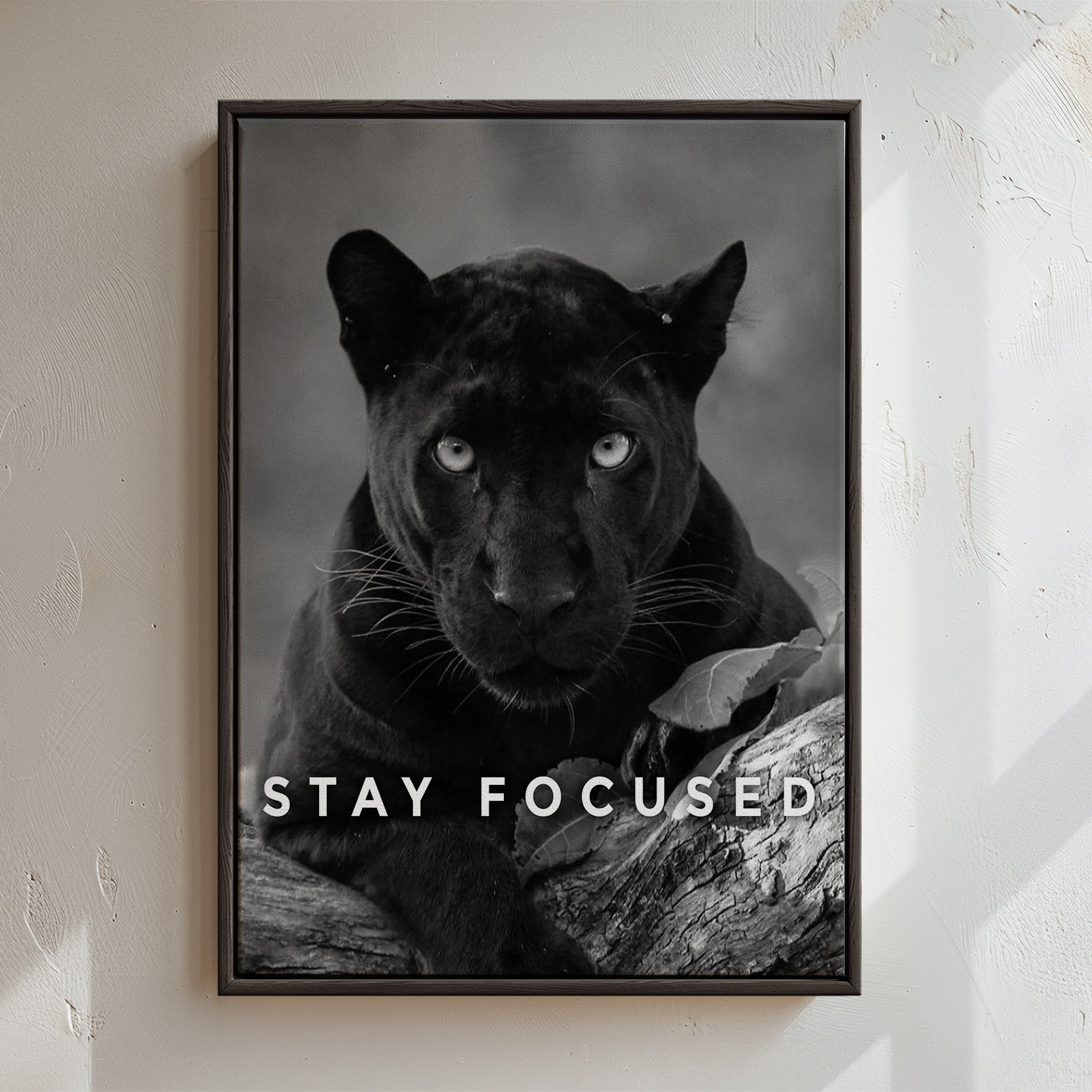 Stay Focused